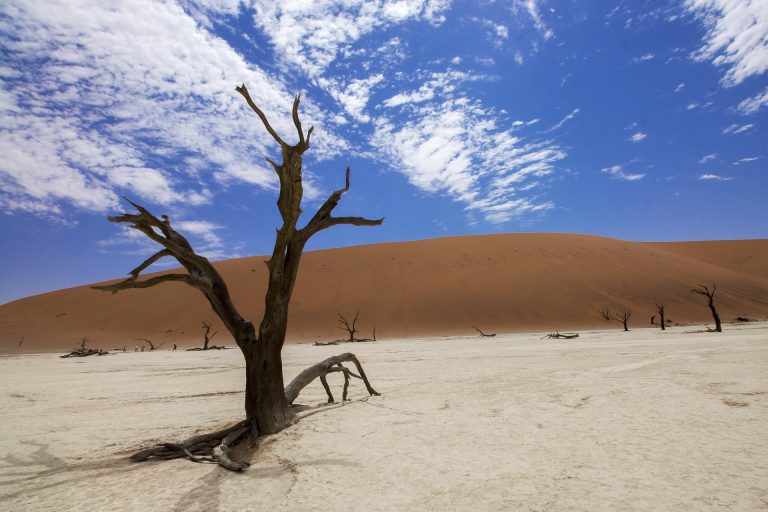 Namibia das Dead Vlei in Sossusvlei